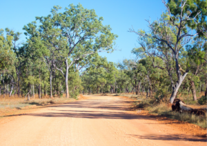 Country Road