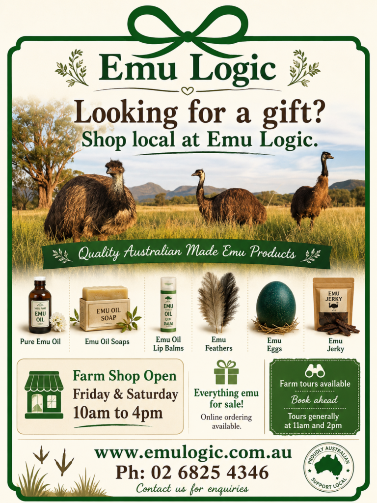 ad example emu logic