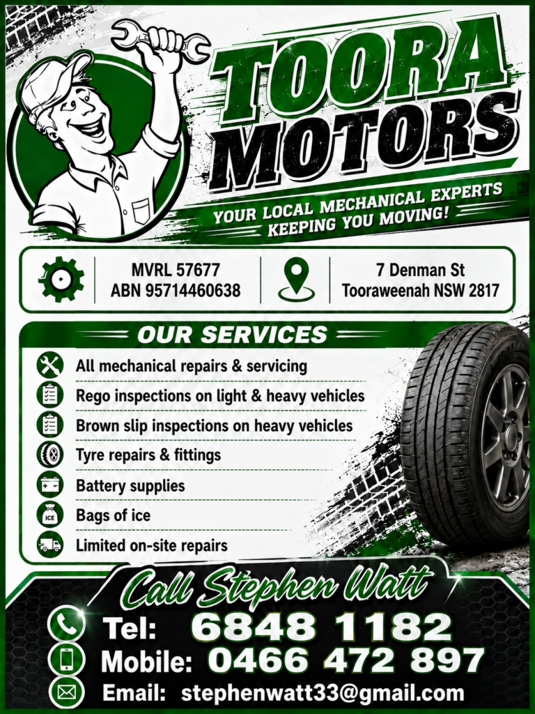 ad example toora motors