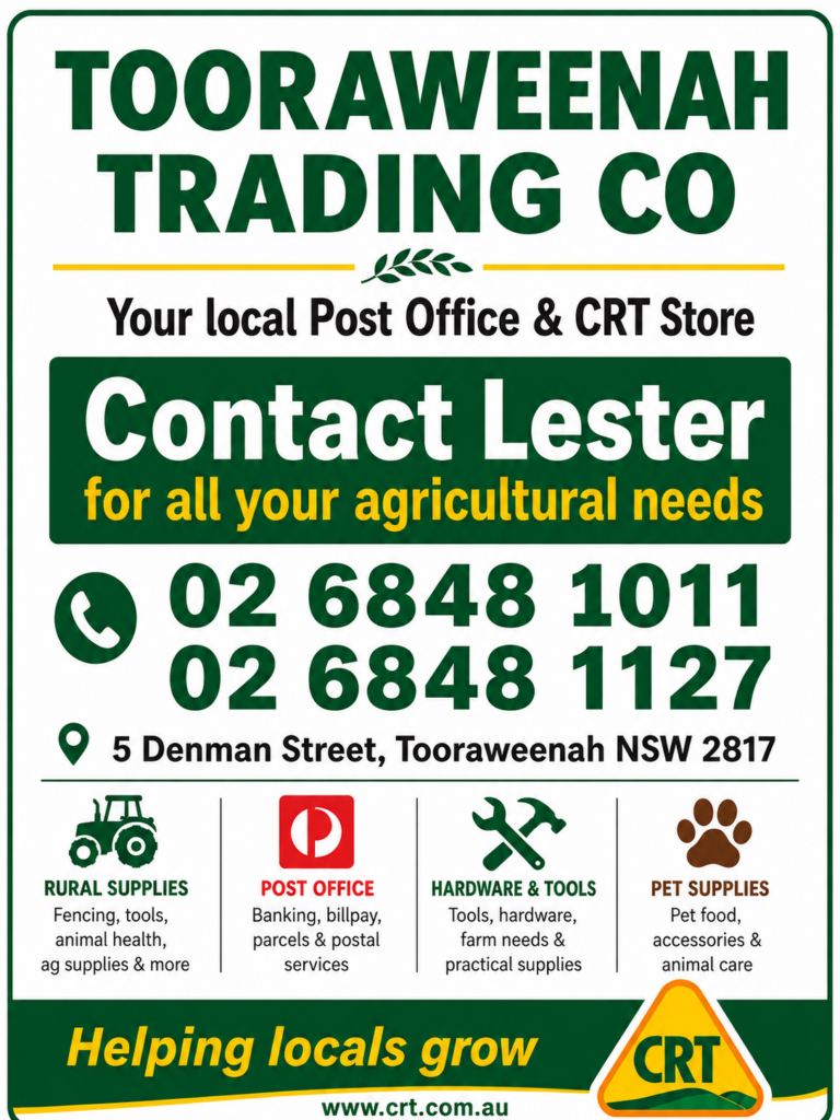 ad example tooraweenah trading co